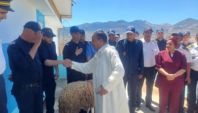 368f95ff-08dd-4eff-8e8d-0c28a0efd7c8