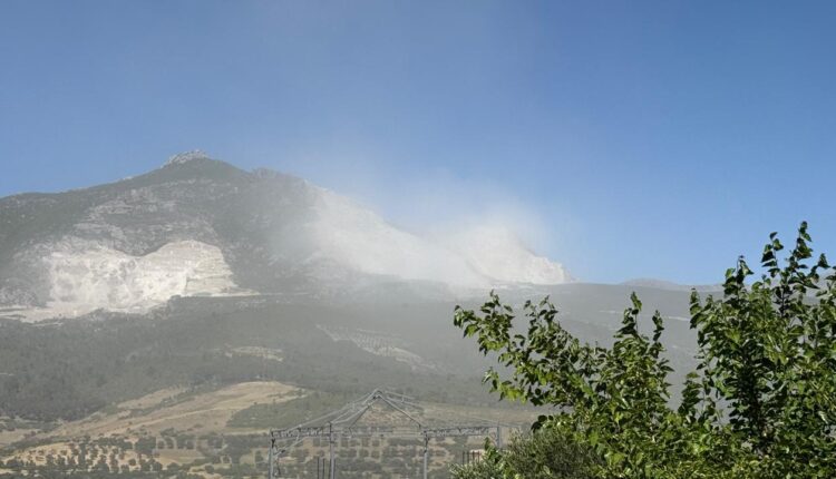IMG-20250524-WA0008