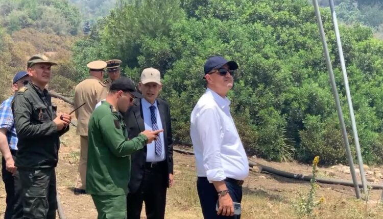 FB_IMG_1750356305808